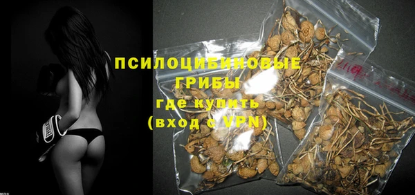 стафф Абаза