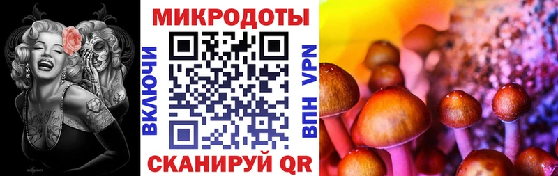 где купить наркотик Сольцы Псилоцибиновые грибы Cubensis